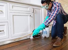 Real Estate Pest Inspections in New Boston, OH